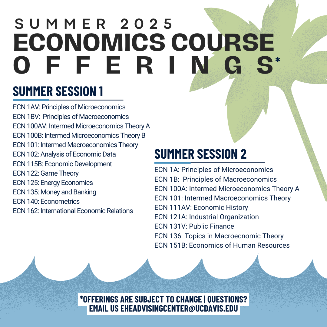 ECN Summer 2025 Course Offerings