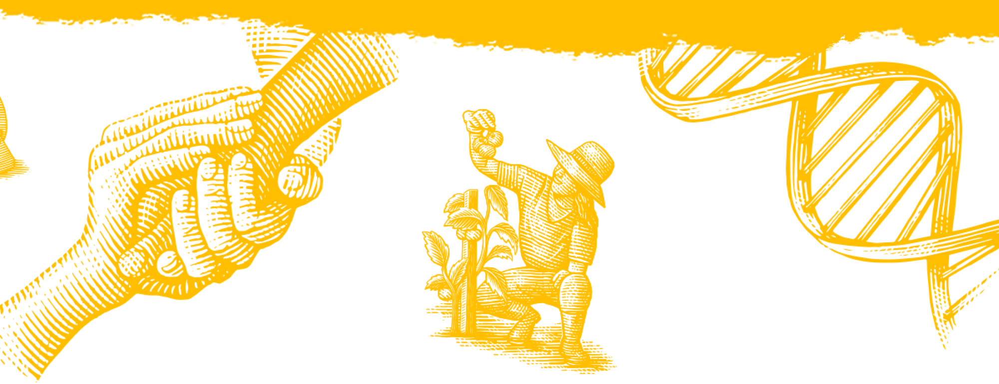 A selection of scientific illustrations including; a tartigrade, microscope, ag researcher etc...