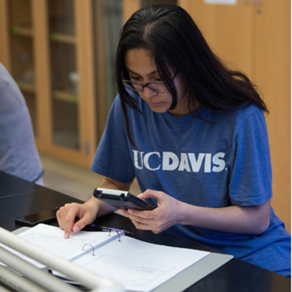 A student wearing a blue UC Davis t-shirt sits at a black lab table, focused on solving a problem. They hold a calculator in one hand and point to a paper in a binder with the other. The background shows wooden cabinets with glass doors and lab supplies, creating a studious classroom or lab environment.